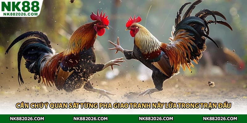 Cần chú ý quan sát từng pha giao tranh nảy lửa trong trận đấu